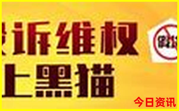 2024网文排行榜前十名